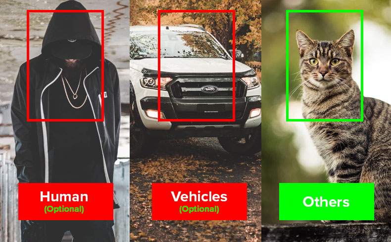 Site-Camera-AI-Smart-Motion-Detection Site Camera AI Smart Motion Detection